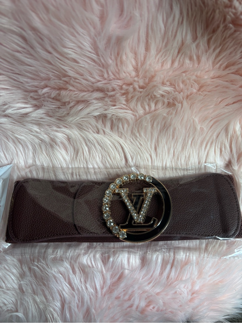 Luxury Women's Embellished Buckle Waist Belt - Brown